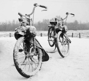 Solex winterarrangement